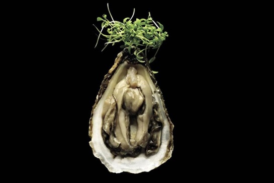 foodporn, oyster, sex, food